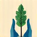 Two hands gently pushing apart a smartphone and a lush green plant, symbolizing healthy boundaries.
